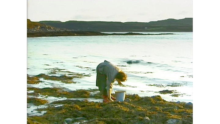 Elisabeth Luard collecting mussels on Mull